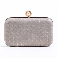 Luminous Clutch - Champagne - Zenana